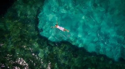 Holbox: el pez que mide el tiempo y la isla que nació de la resistencia