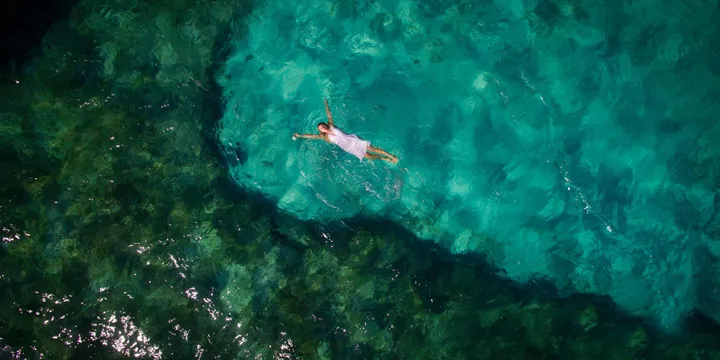 Holbox: el pez que mide el tiempo y la isla que nació de la resistencia